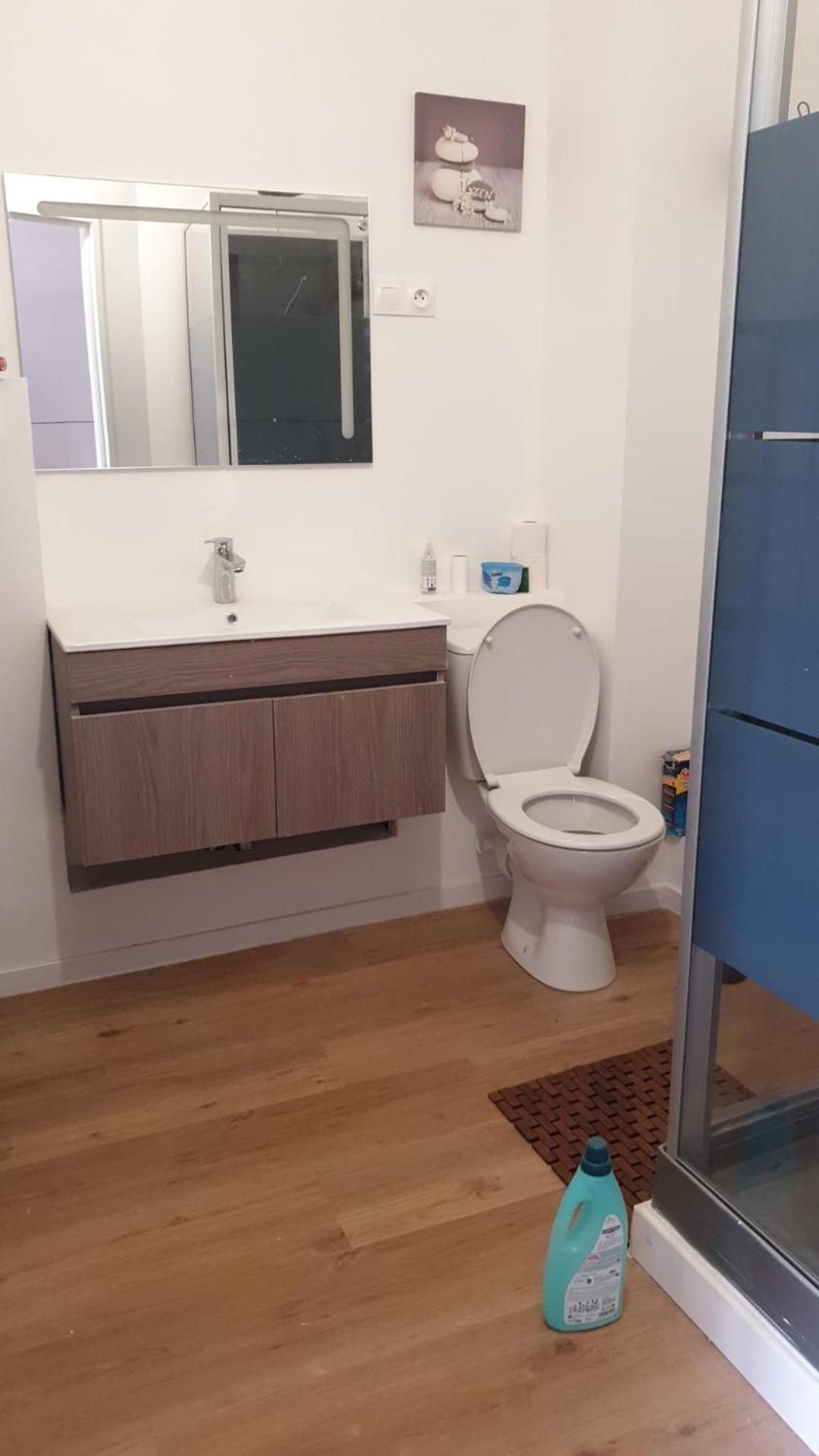 Appartements Simples Et Fonctionnels Pamiers Dış mekan fotoğraf